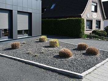 Immerhin einige Pflanzen ragen aus einem Vorgarten mit grauen und schwarzen Kieselsteinen in Bremen.