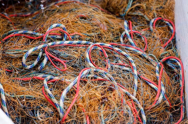 Kritik an Fischfangdeal zwischen Brüssel und London