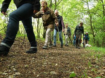 Exkursion durch den Wald zwischen Trimburg und Engenthal. Fotos: Arkadius Guzy