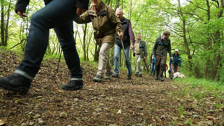 Exkursion durch den Wald zwischen Trimburg und Engenthal. Fotos: Arkadius Guzy