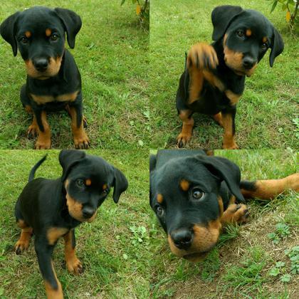 Foto: vanessaz