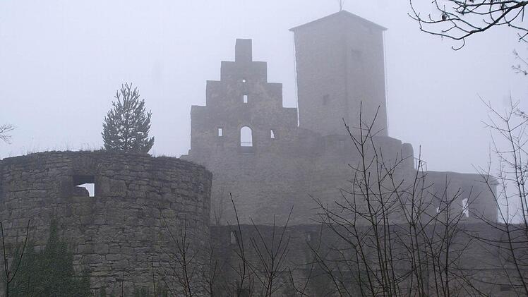 Die Trimburg soll als Kulturträger der Region erhalten bleiben und ihr Programm mit weiteren Veranstaltungen füllen. Foto: Winfried Ehling