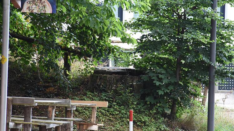 Der Stumpf des Baumes, der vor 13 Jahren einen Unfall auslöste, ist noch zu sehen.