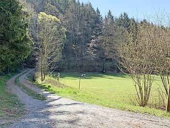 Auf diesem Areal soll der Themenspielplatz entstehen.  Foto: Veronika Schadeck