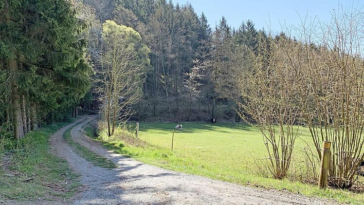 Auf diesem Areal soll der Themenspielplatz entstehen.  Foto: Veronika Schadeck