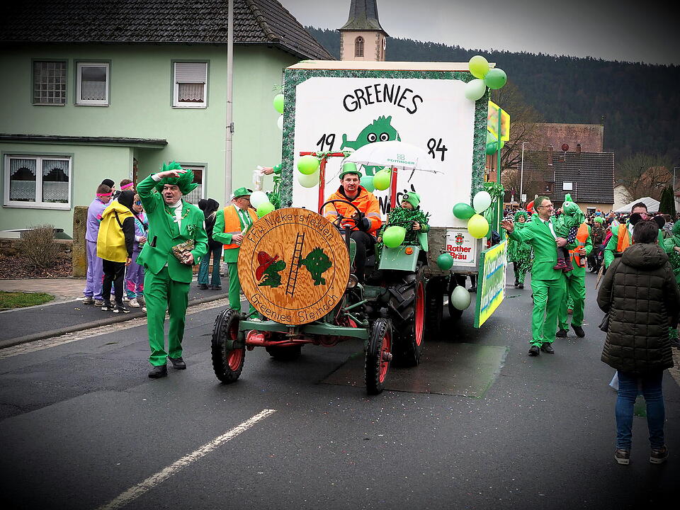 Fasching 2024 in Steinach