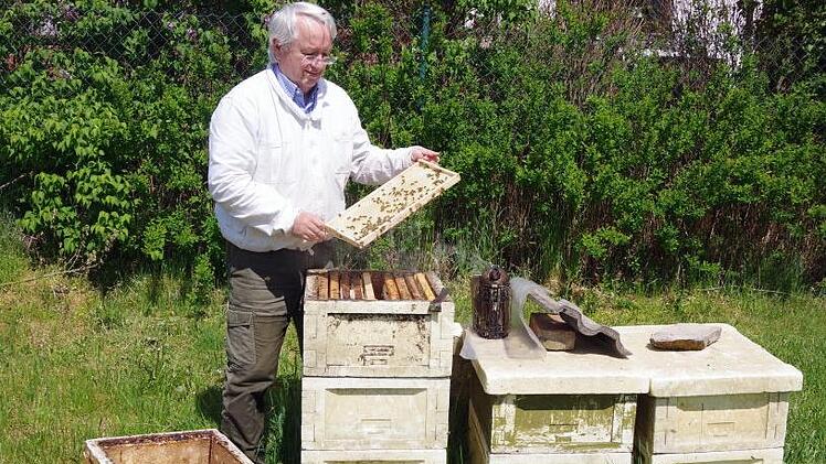Von den fleißigen Bienen an den Waben zum süßen Honig: Imker Dr. Reimund Schuberth zeigt eine Wabe aus einem seiner zwölf Bienenstöcke. Foto: Heike Schülein