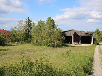 Grünflächen und das alte Sägewerk bestimmen ein Areal am Schindberg. Dort könnten in absehbarer Zeit Wohnhäuser stehen. Der Stadtrat steht dem Projekt sehr positiv gegenüber. Thomas Malz