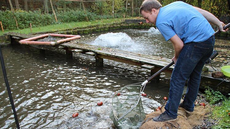 Mit dem Kescher holt Hein einen Fisch heraus. Foto: Johannes Schlereth