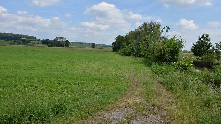 Foto: Ronald Rinklef