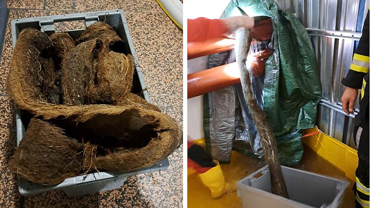 In einem Wohnhaus in München fand die Feuerwehr eine Wurzel, die ein Wasserrohr verstopfte