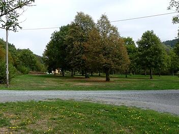 Auf dieser Wiese zwischen der Lindauer Straße und dem Trebgastbach parken im Sommer gerne die Badegäste. Ein Investor will dort Stellplätze für Wohnmobile errichten. Foto: Dieter Hübner