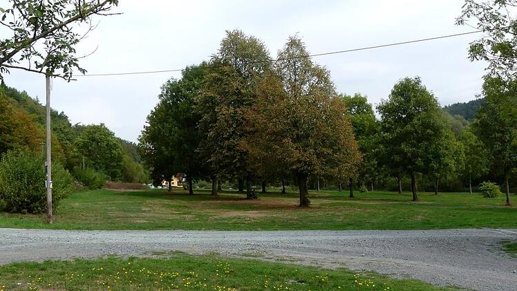 Auf dieser Wiese zwischen der Lindauer Straße und dem Trebgastbach parken im Sommer gerne die Badegäste. Ein Investor will dort Stellplätze für Wohnmobile errichten. Foto: Dieter Hübner