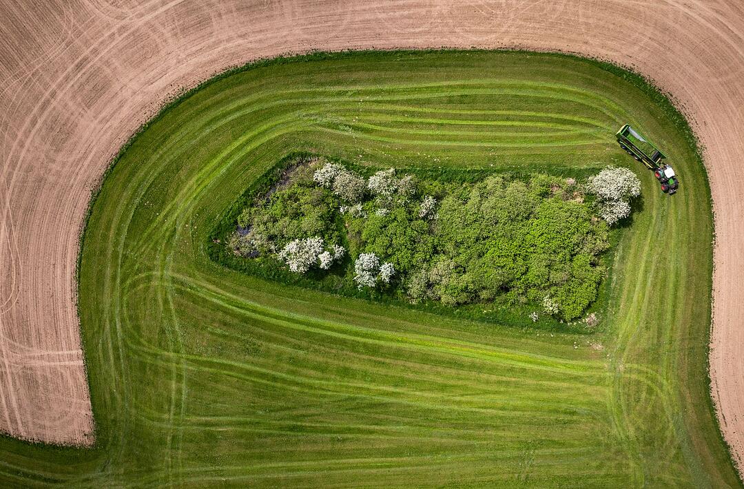 Gr&uuml;nfutterernte in Norddeutschland