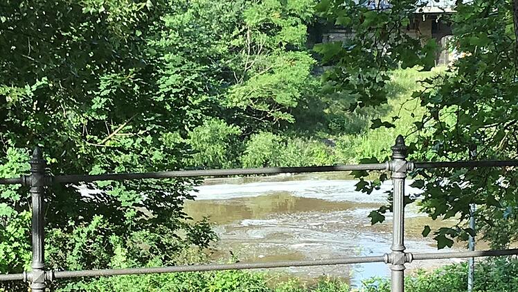 Main-Donau-Kanal in Bamberg: Schaum auf dem rechten Regnitzarm