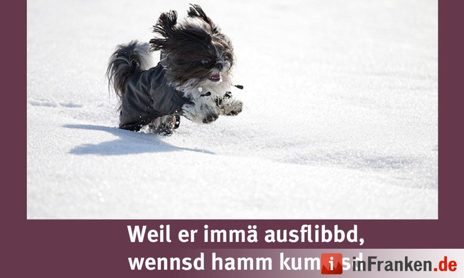 Foto: Bettinimachtfotos