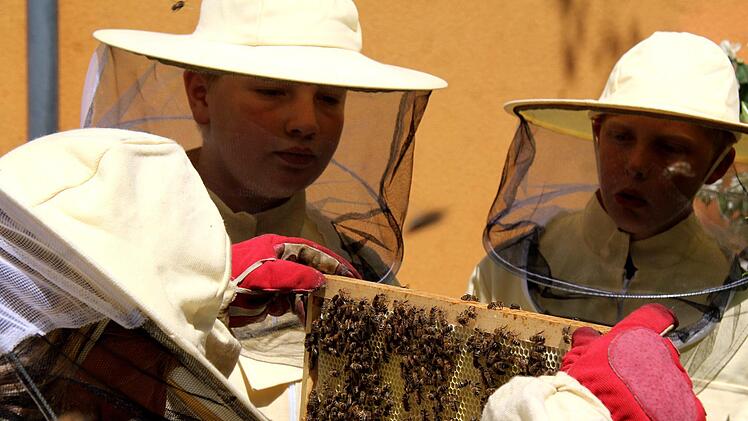 Vorsichtig werden die Rähmchen herausgehoben.   Foto: Richard Sänger