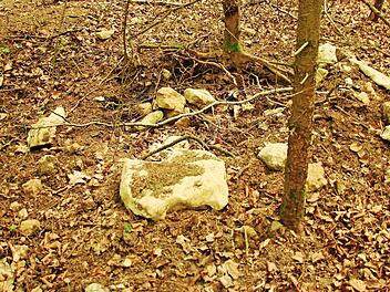 Aufgewühltes Erdreich und freigelegte Kalksteinbrocken kennzeichnen das Bild, das sich derzeit an etlichen Hügelgräbern auf dem Dornig bietet. Fotos: Matthias Einwag