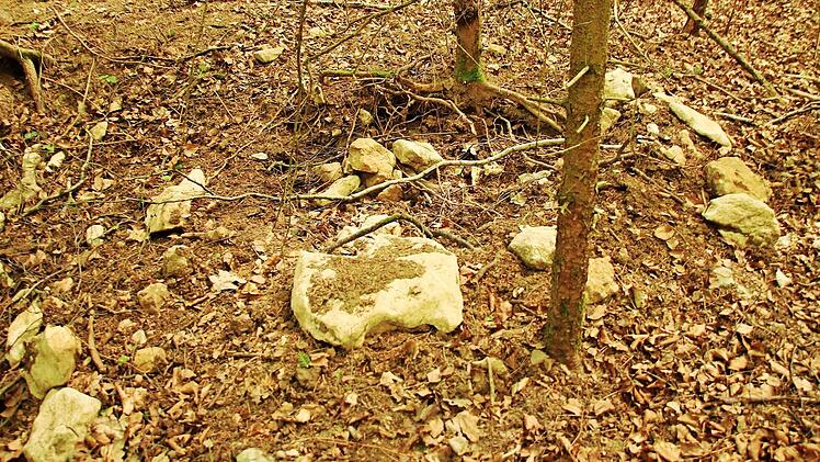 Aufgewühltes Erdreich und freigelegte Kalksteinbrocken kennzeichnen das Bild, das sich derzeit an etlichen Hügelgräbern auf dem Dornig bietet. Fotos: Matthias Einwag