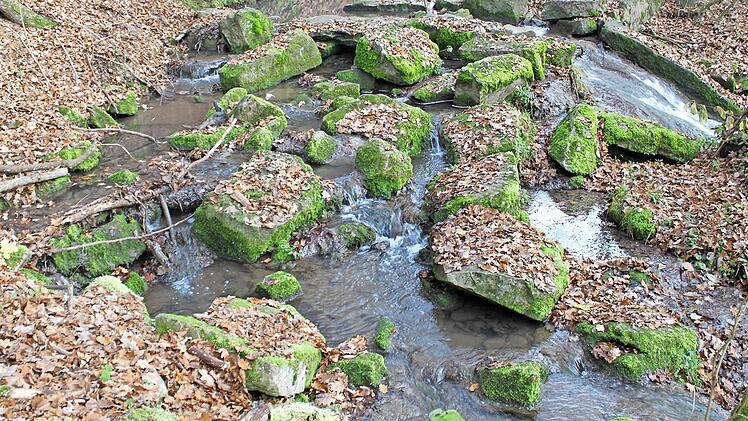 Oberhalb der Brücke befindet sich noch ein Wehr aus Natursteinen, das der Bewässerung der Wiesenflächen diente.