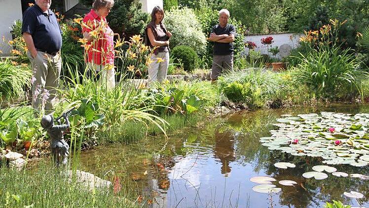 Einen reinen Ziergarten hat sich Willi Ismaier in Hausen geschaffen. Foto: Mathias Erlwein