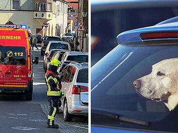 Gerolzhofen: Passanten entdecken Hund in Auto und schlagen Alarm - überraschende Wende