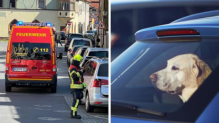 Gerolzhofen: Passanten entdecken Hund in Auto und schlagen Alarm - überraschende Wende