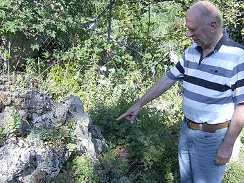 Rundherum wohl fühlt sich Alfons Trautner in seinem Garten, in dem es an jeder Ecke etwas anderes zu bestaunen gibt. Foto: Petra Malbrich