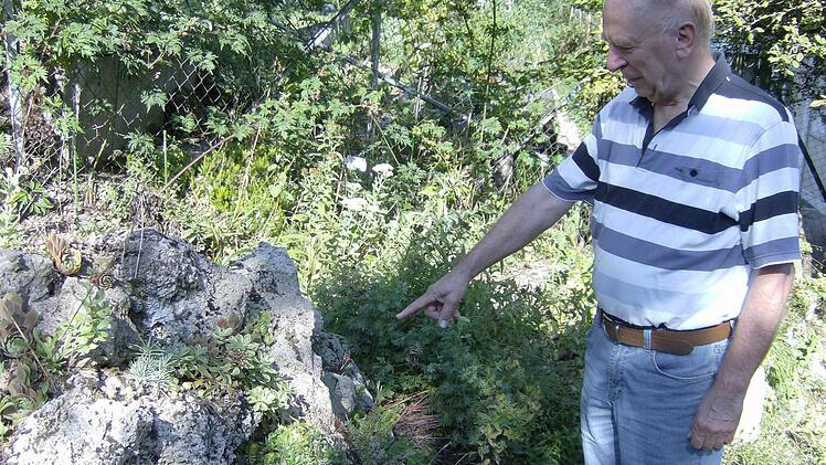 Rundherum wohl fühlt sich Alfons Trautner in seinem Garten, in dem es an jeder Ecke etwas anderes zu bestaunen gibt. Foto: Petra Malbrich