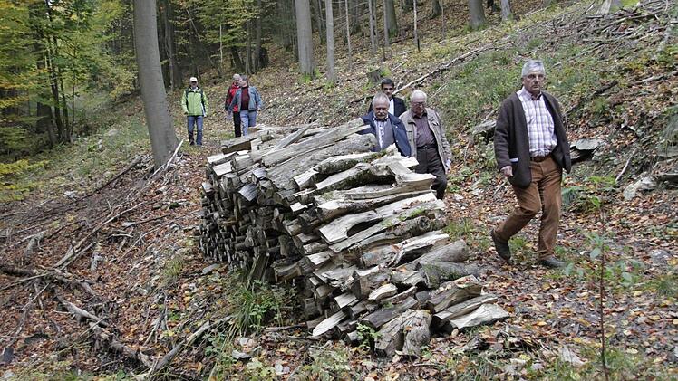 Foto: Josef Hofbauer