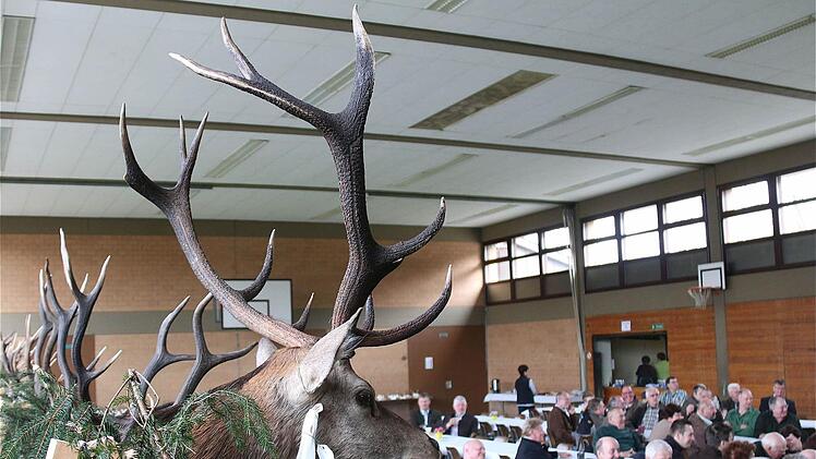 Hegeschau in Thulba  Foto: Schaar