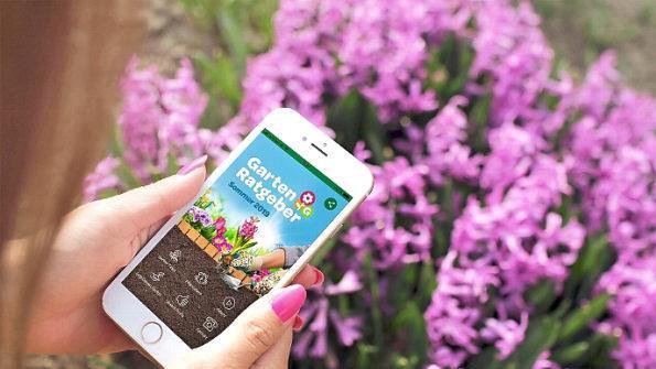 Gibt wertvolle Tipps: die Garten-App. Foto: inFranken.de/smartmockups.com