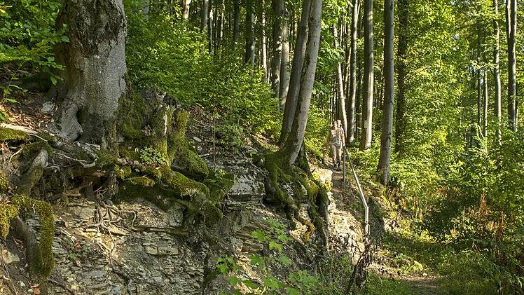 Geologie hautnah: Der Sockel vieler Rhönberge  besteht aus Kalkstein, so auch hier am Galgenfirst. Foto: Jürgen Hüfner