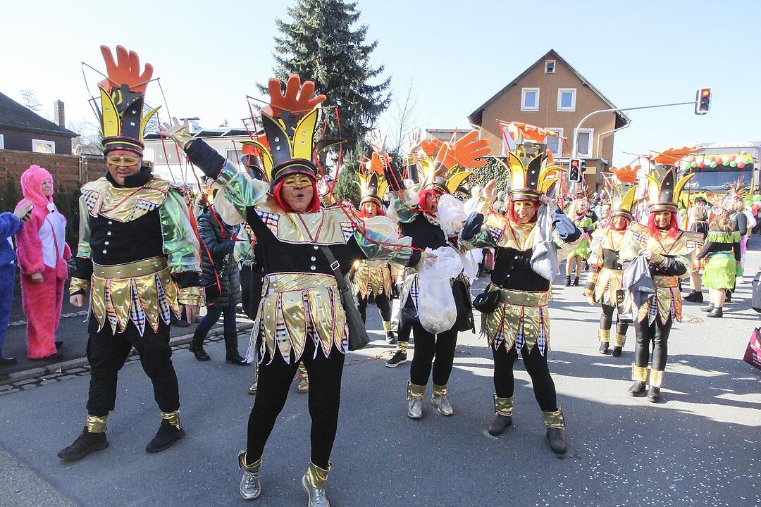 Fasching 2025 in Stadtsteinach!