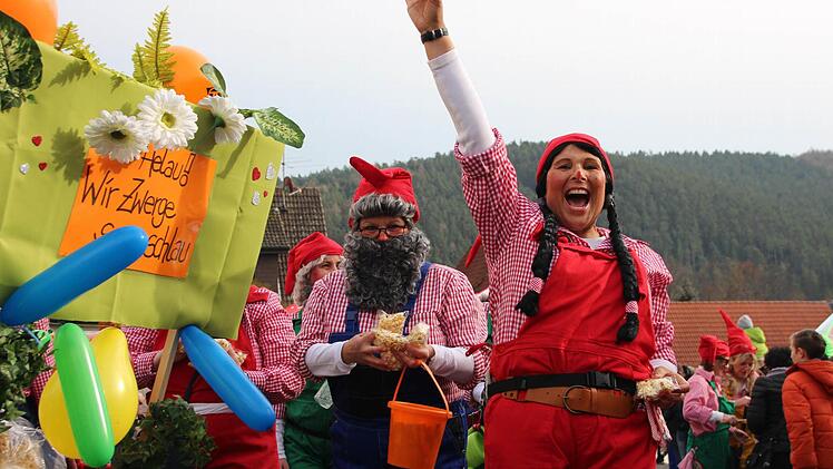 Faschingszug in Steinach. Foto: Benedikt Borst