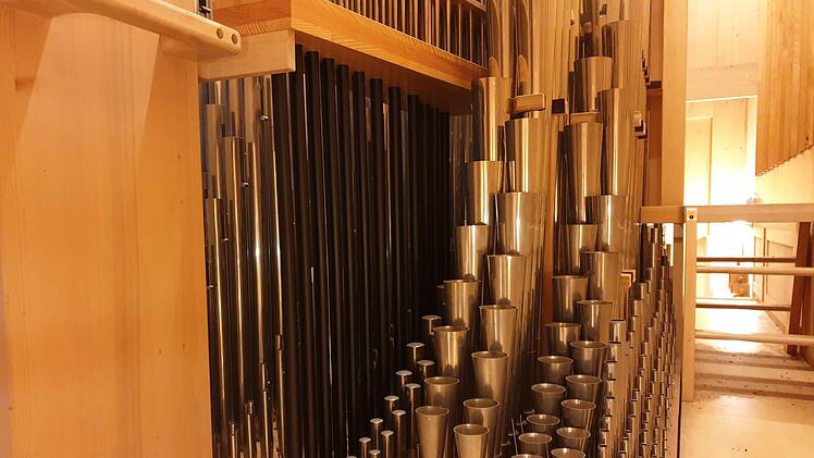 Nicht nur von außen imposant: Auch das Innere der Rieger-Orgel in der Petrikirche ist faszinierend. Bei den Kirchenmusik-Aktionstagen können Interessierte das beeindruckende Instrument ganz aus der Nähe und aus ungewöhnlicher Perspektive erleben. Foto: Dagmar Besand