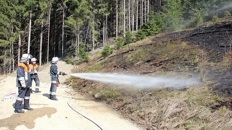 Die Wehrleute bekämpften den Brand.  Foto: Friedwald Schedel