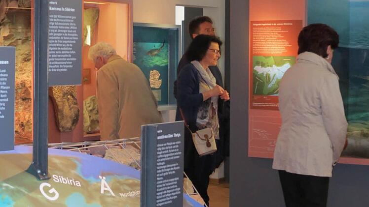 Einladend und interessant präsentierte sich das neue Museum in der Marktgemeinde