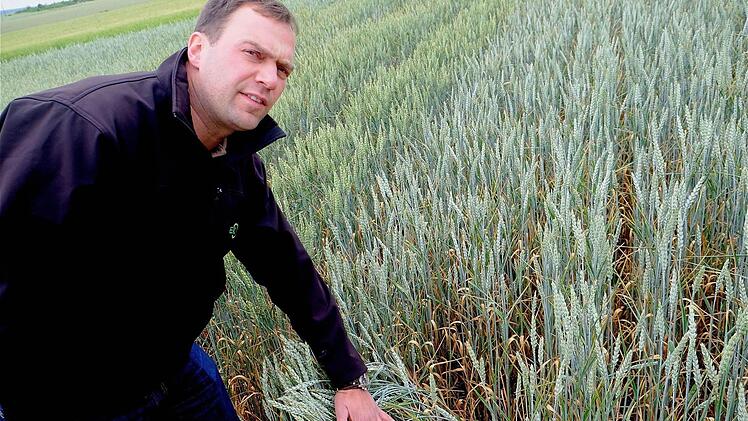 Die Versuchsfelder unterscheiden sich durch Bewuchs und Anfall von Krankheiten, wie Stefan Karch aufzeigt. Foto: Gerd Schaar