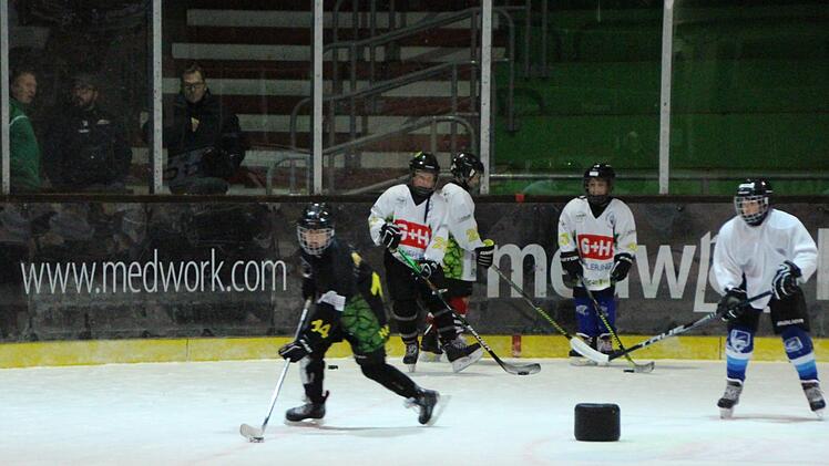 Aufs  Training des Eishockey-Nachwuchses wird beim Höchstadter EC besonderer Wert gelegt.  Foto: Andreas Dorsch