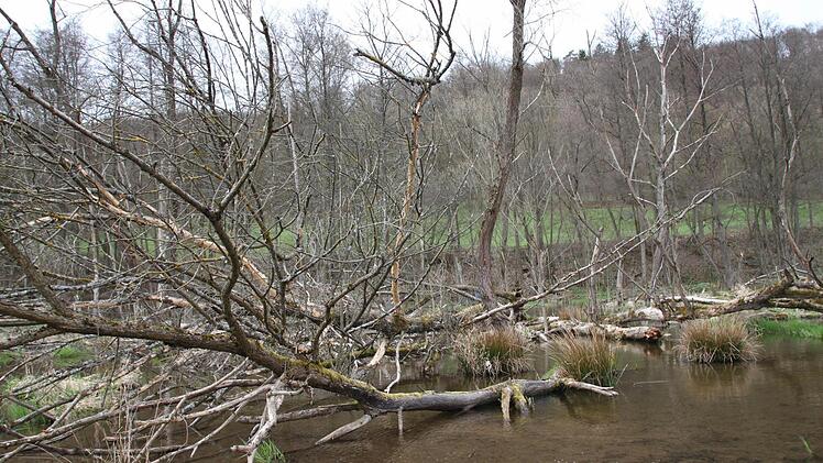 In der urigen Landschaft fühlt sich auch...