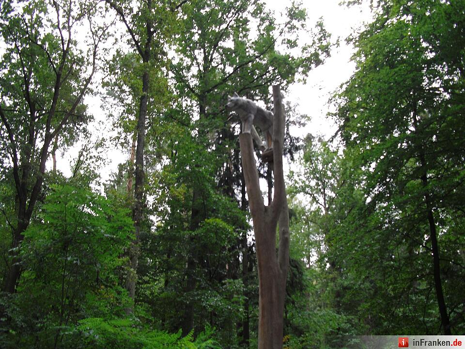 ABO Plus-Herbstwanderung Bamberg