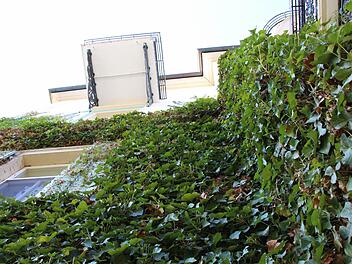 Auf dem Vormarsch: Grüne Tagungen", bei denen nicht nur die Themen, sondern auch die Ökobilanz eine Rolle spielt, standen im Zentrum der Heiligenfelder Gespräche.  Foto: Benedikt Borst