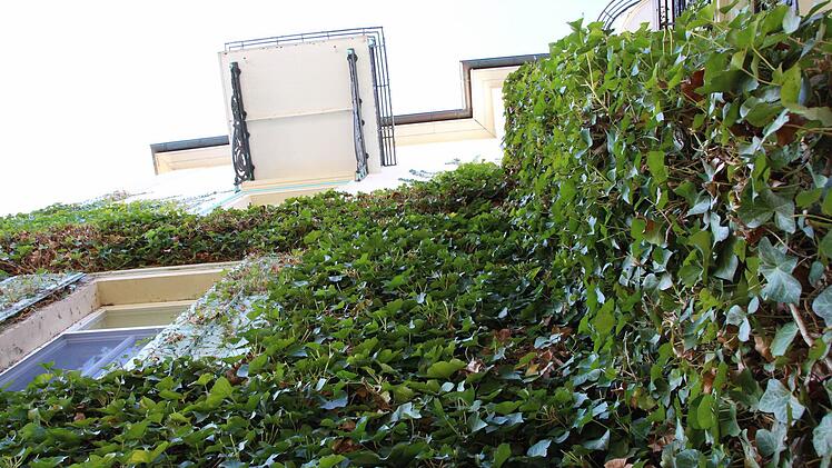 Auf dem Vormarsch: Grüne Tagungen", bei denen nicht nur die Themen, sondern auch die Ökobilanz eine Rolle spielt, standen im Zentrum der Heiligenfelder Gespräche.  Foto: Benedikt Borst