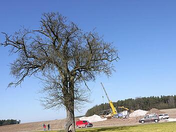 Ein Spagat: Die Bauarbeiten für die 380-kV-Trasse laufen auch durch schützenswerte Teile des Coburger Landes - wie hier in Weidhausen. Foto: Berthold Köhler