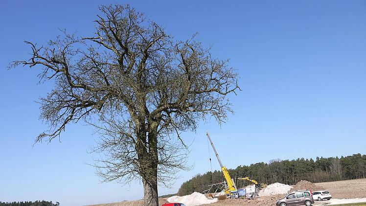 Ein Spagat: Die Bauarbeiten für die 380-kV-Trasse laufen auch durch schützenswerte Teile des Coburger Landes - wie hier in Weidhausen. Foto: Berthold Köhler
