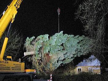 Der Weihnachtsbaum f&uuml;r Berlin-Spandau schwebt zum Abtransport noch in der Luft. Die Marktschorgaster Feuerwehr leuchtete das Umfeld aus. Foto: Bruno Prei&szlig;inger