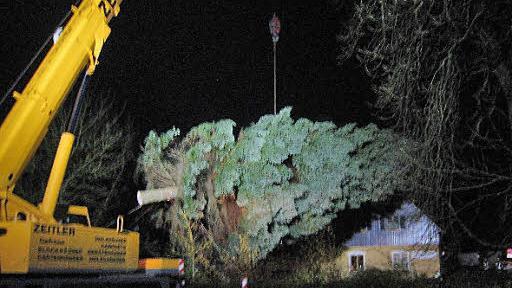 Der Weihnachtsbaum f&uuml;r Berlin-Spandau schwebt zum Abtransport noch in der Luft. Die Marktschorgaster Feuerwehr leuchtete das Umfeld aus. Foto: Bruno Prei&szlig;inger