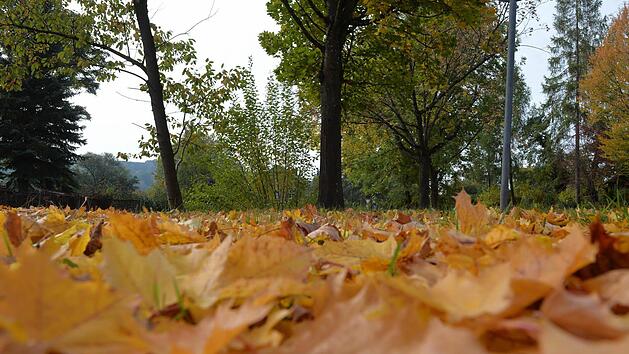 Wechselnd bew&ouml;lkt mit nur vereinzelten Regenschauern: Das Wetter in Franken l&auml;dt zumindest zeitweise zu herbstlichen Spazierg&auml;ngen ein. Symbolbild: Ronald Rinklef