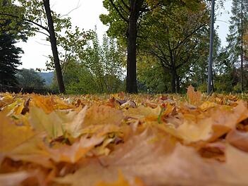 Wechselnd bew&ouml;lkt mit nur vereinzelten Regenschauern: Das Wetter in Franken l&auml;dt zumindest zeitweise zu herbstlichen Spazierg&auml;ngen ein. Symbolbild: Ronald Rinklef